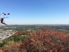 -北京西山国家森林公园