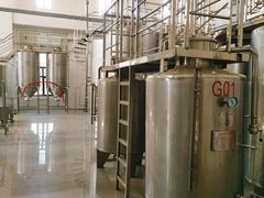 -丹世红酒庄·烧烤·团建·婚礼·水上运动