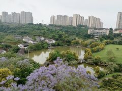 -张坝桂圆林公园