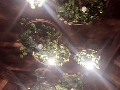 -胡桃里乐队酒馆(鎏嘉码头店)