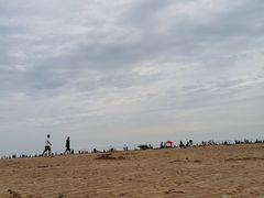 -日照海滨国家森林公园
