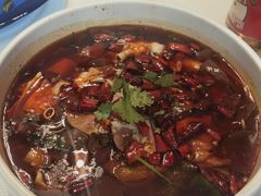 飘香毛血旺-106餐厅(山水文园店)