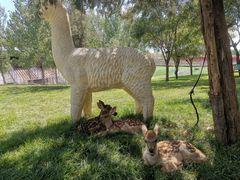 -北京鹿世界主题园