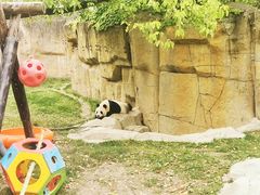 -上海野生动物园