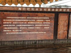 -东寨港红树林旅游区