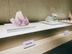 -青岛市博物馆