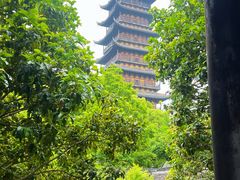 -常熟方塔园