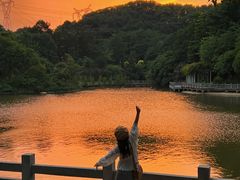 -广州市帽峰山景区