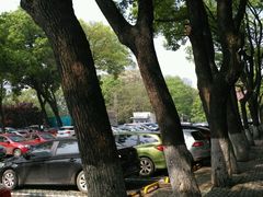 -武汉大学中南医院·停车场