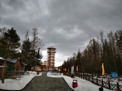 -峡谷浮石林景区