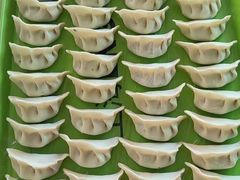 -小蝌蚪·寻·月嫂(普陀总部)