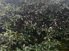 -明故宫遗址公园