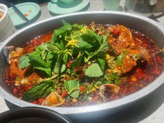 -黔渔翁豆花渎鱼(喷水池店)