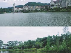 -美的鹭湖森林度假区