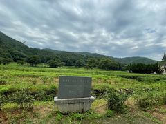 -灵顺寺