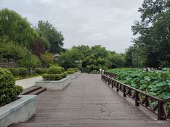 -莲湖公园