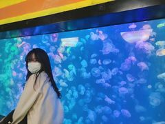 -烟台海昌鲸鲨海洋公园