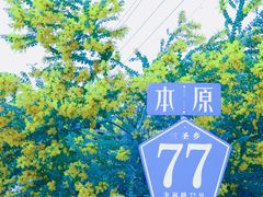 -三圣花乡旅游区