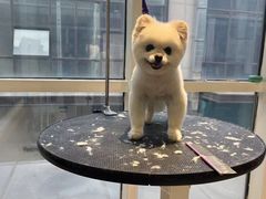 -爱宠屋pet shop·宠物洗澡·宠物美容