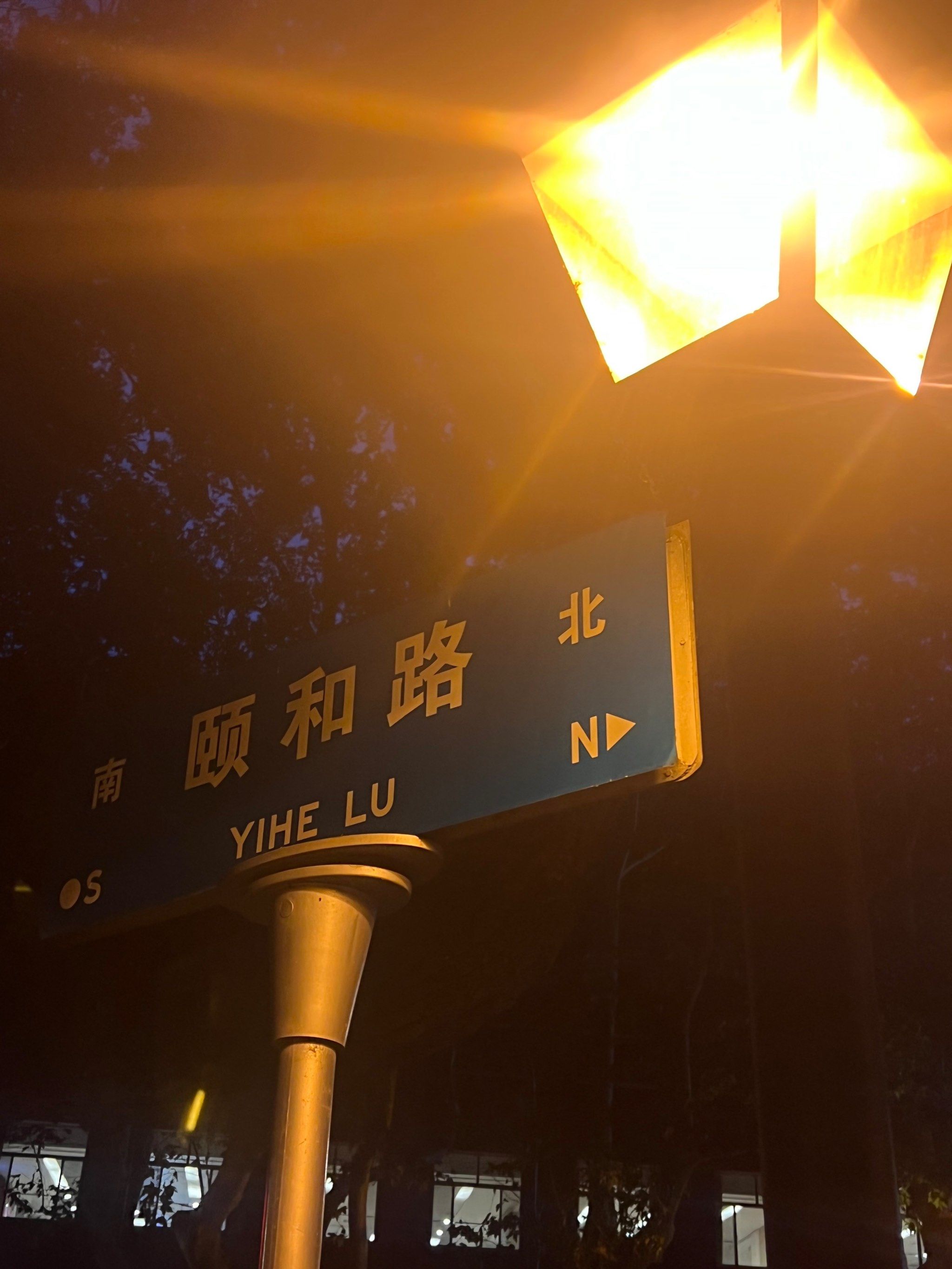 南京最美道路之一:颐和路