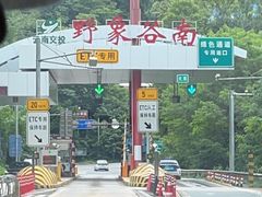 -野象谷景区
