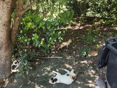 -敬亭山风景名胜区