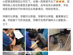-联合动物医院(光谷诊疗中心)