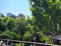 -上海虹桥宾馆味翠餐厅