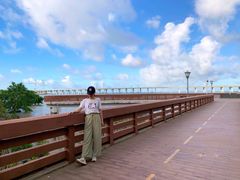 -宝安西湾红树林湿地公园