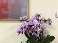 -上海日盈律师事务所·法律咨询