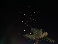 -熙朵美学植发连锁