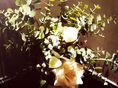 -LYFATTI 莱芙缇(赣水路店)