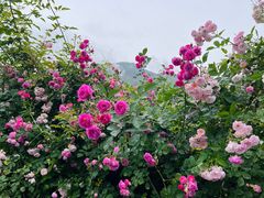 -太阳湾风景区