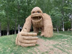 -静之湖度假区