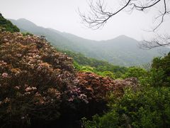 -梧桐山风景名胜区