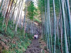 -五泄景区