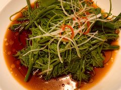 木姜油丝瓜尖-福禧酒窖·中餐厅 (万柳店)