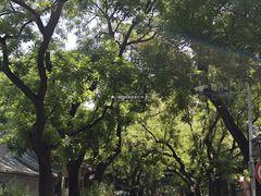 -北京国子监胡同