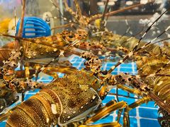 -田园居·佳宴(桑田路店)