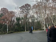 -灵谷景区