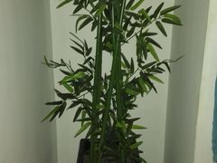 -Together·泰式按摩精油SPA(天山店)