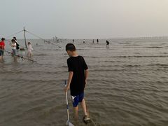 -南汇嘴观海公园