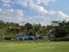 -中国科学院西双版纳热带植物园