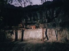 -清迈夜间动物园