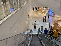 -岭南站NOVA