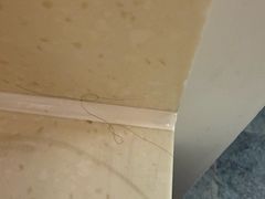 -苏州环秀晓筑养生度假村