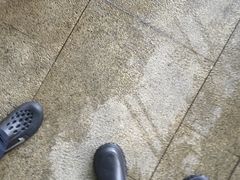 -鸟鹏烧鸟居酒屋(龙岗万科店)