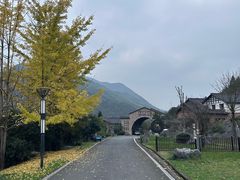 -千岛湖石林