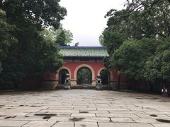 -灵谷景区