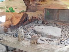 -上海野生动物园